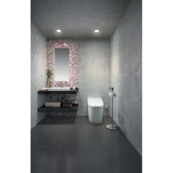 TOTO Neorest Ah Kit, S Beige Sn989M12 Ct989 -TOTO Sales Store Grainger MS989CUMFGxx12xx7