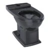 TOTO Toilet Bowl, 0.9/1.28 Gpf, Dual Flush, Floor Mount, Elongated, Ebony -TOTO Sales Store Z2rxDvjcpIx