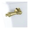TOTO Trip Lever Cst784Sf Pvd Polished Brass 2 TOTO Trip Lever Cst784Sf Pvd Polished Brass -TOTO Sales Store Z2ww7uncpIx